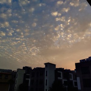 Metbabes图库最新
